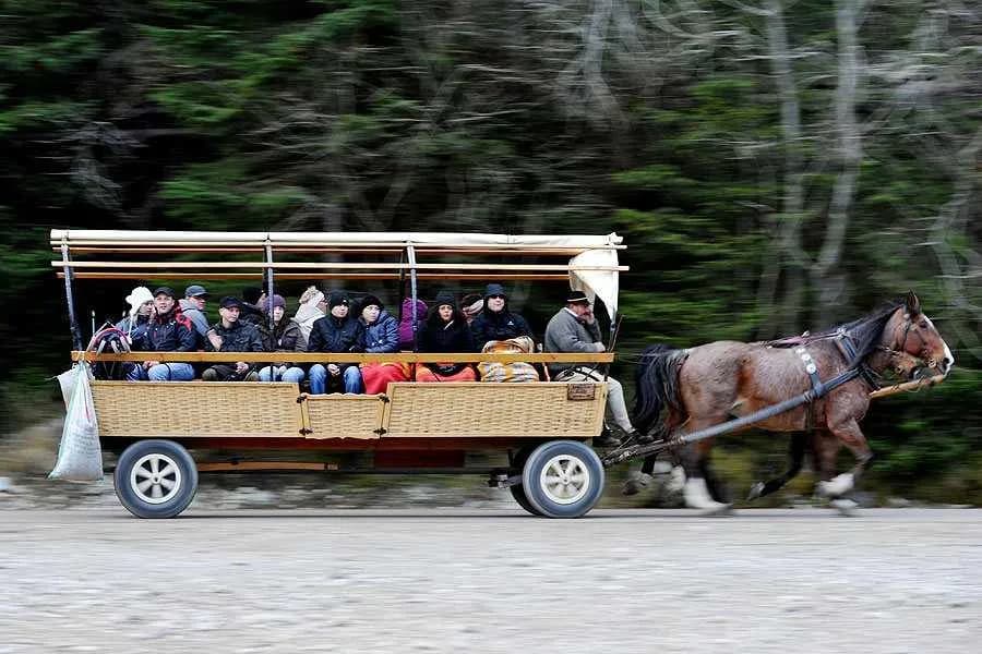 Koń z wozem: Siła tradycji i symbol polskiej wsi na przestrzeni lat